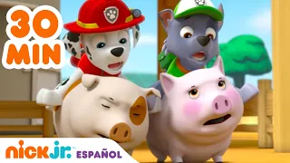 PAW Patrol, Patrulla de cachorros | 30 minutos de Paw Patrol salvando el día  | Nick Jr. en Español