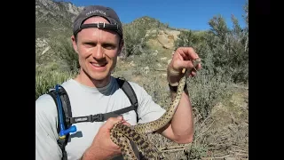 Ultra Noob Dax Hock Takes on Cactus to Clouds Skyline Trail to Top of San Jacinto and back!