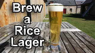 Brew a Rice Lager