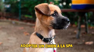 J'AI ADOPTÉ UN CHIEN ! 🐶 (Il est complètement cinglé)