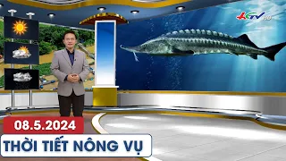 Thời tiết nông vụ 08.5.2024 | Truyền hình Hậu Giang