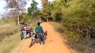 Tadoba national park TIGERS Thriller MUST WATCH