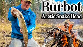 BURBOT “Arctic Snake Head” {Catch Clean Cook} Ultimate Survival Skills