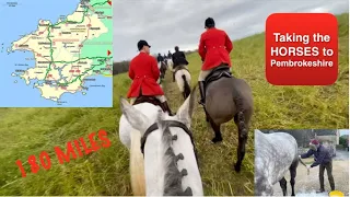 Trail Riding in Pembrokeshire with Three horses - Visiting another Hunt | Equestrian
