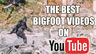 The Best Bigfoot Videos on YouTube (Zoomed-In) [HD]