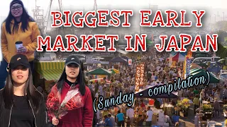 HOW TO ENJOY THE “TATEHANA WHARF MORNING MARKET”, the Biggest One in Japan | V003