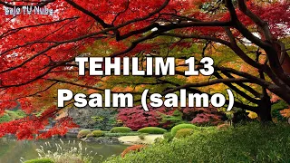 TEHILIM 13:6 - Ashíra - Yonatan Razel