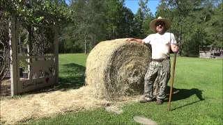 heavy, thick mulch gardening