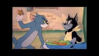 Tom And Jerry English Episodes - The Truce Hurts - Cartoons For Kids