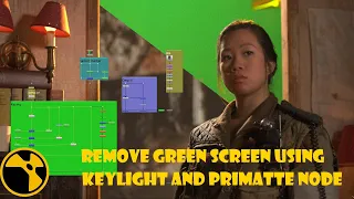 Nuke Compositing || Remove green screen using Keylight and Primatte node [Hindi]