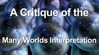 A Critique of the Many Worlds Interpretation