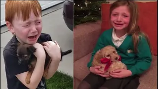 🎁🐕 Cute Kids Cry Tears Of Joy for New Puppy Surprise Gift Compilation 🎁🐶