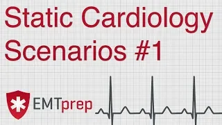 Static Cardiology Scenarios #1