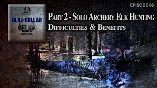 Part 2-Solo Archery Elk Hunting...Difficulties & Benefits