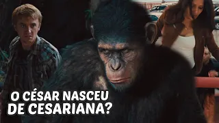 O FILME FAZ A GENTE FICAR COM PENA DE MACACO