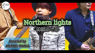 【シャーマンキング OP】Northern lights / 林原めぐみ【Covered by ANIMAL MANIA】