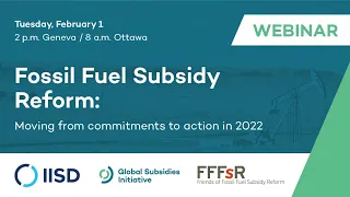 Webinar | Fossil Fuel Subsidy Reform: Moving from commitments to action in 2022