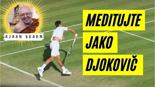 Meditujte jako Djokovič (meditace pro skvělý výkon)🧘 | Ajahn Brahm | [české znění] | 2.1.2016