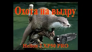 Охота на выдру с Helion 2 XP50 PRO.