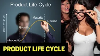 Product Life Cycle 4 stages of product life cycle the product life cycle explained The Moral Show