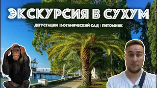 Экскурсия в СУХУМ. Дегустация меда, вина, сыра, питомник, сад.