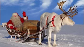 Joulupukki & porot 🦌🎅 Joulupukin parhaat rekiajelut Rovaniemi Lappi Korvatunturi joulu Santa Claus