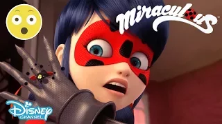 Miraculous | Season 2 Exclusive Sneak Peek: Ladybug Vs Cat Noir?! | Disney Channel UK