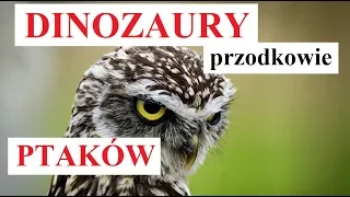 Dinozaury PRZODKOWIE PTAKÓW