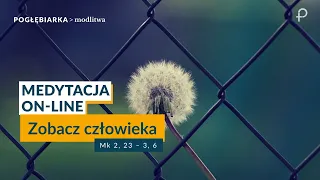 Medytacja Pisma Świętego onLine - Zobacz człowieka [#Mk 2, 23 – 3, 6] 02.06.2024