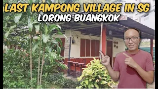 One and Only Last Surviving Village in Singapore! 🏡 Kampong Lorong Buangkok 🇸🇬