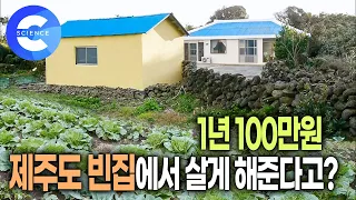 텃밭은 덤~ 백평 넘는 집이 1년에 100만원?! 제주도로 이사갑니다! 빈집 드립니다 | 🌎 하나뿐인 지구