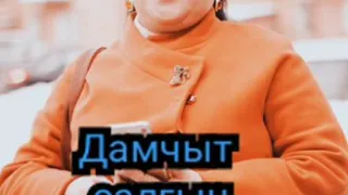 Дамчыт салгын