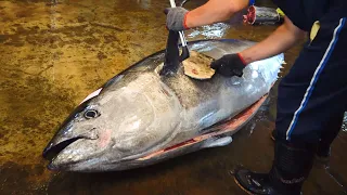 Superb and Fabulous Cutting Skills - Over 300 kg giant bluefin tuna