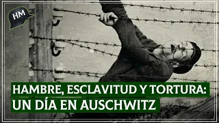 Así era SUFRIR en Auschwitz: La VIDA de los ﻿PRISIONEROS en la fábrica de la muerte