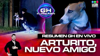 RESUMEN DEL LAUCHA de GRAN HERMANO 2024 | Bienvenido ARTURO🐕a la casa, el NUEVO PERRITO del reality