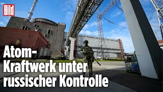 Krieg um Europas größtes Kernkraftwerk Saporischschja | Ukraine-Krieg