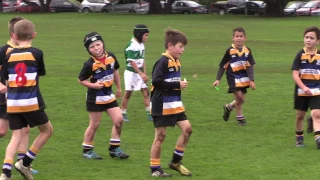 Border Junior Rugby Under 8's First Win 2017