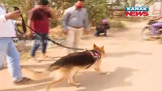 Look, How A Dog Help To Police For Investigate A Case