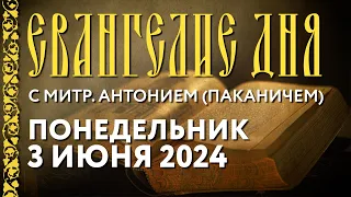 Понедельник, 3 июня 2024 года. Толкование Евангелия митрополитом Антонием (Паканичем).