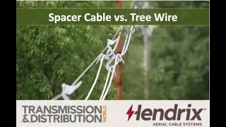 Tree Wire Vs. Spacer Cable