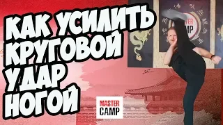 КАК усилить КРУГОВОЙ УДАР НОГОЙ | Постановка ударов ногами |  MASTER CAMP