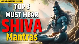 MAHASHIVRATRI SPECIAL - TOP 3 MUST HEAR SHIVA MANTRAS - POWERFUL MANTRA - (LOFI SLOWED+REVERB)