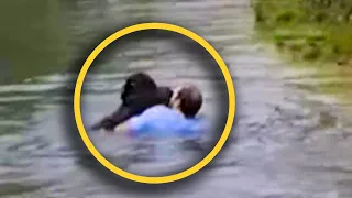 HERO JUMPS INTO WATER TO SAVE DROWNING CHIMP, THEN HE SEES THIS