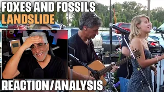 "Landslide" by Foxes and Fossils, Reaction/Analysis by Musician/Producer