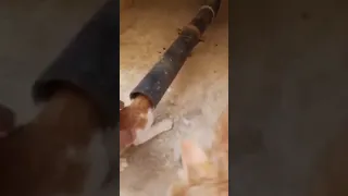 Cat stuck in pipe