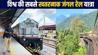 Worlds most thrilling Jungle train Journey through dense forest