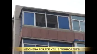 3 terrorists killed in NE China