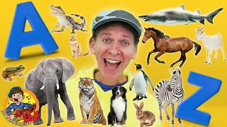 A to Z Animals with Matt | Learn 50 Wild Animals A to Z | Dream English Kids