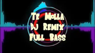 Te Molla Dj Remix - full bass