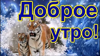 С добрым утром, с новым днем! Чудесного зимнего настроения! Музыкальная открытка.